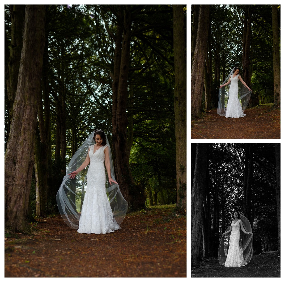 Wortley Hall wedding photography by Sheffield wedding photographer Chris Loneragan 101822